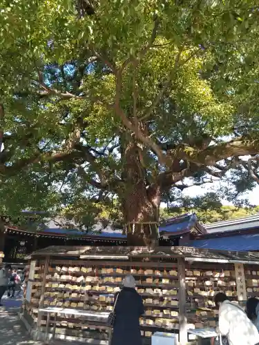 明治神宮(東京都)