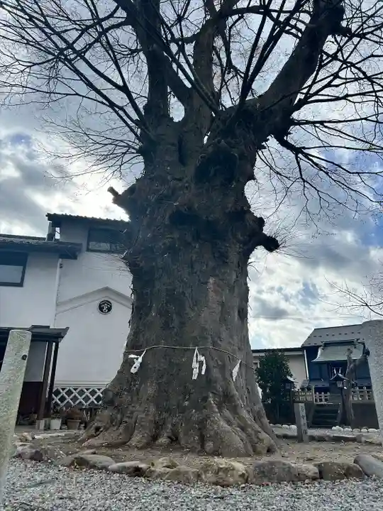 諏訪大社下社秋宮(長野県)