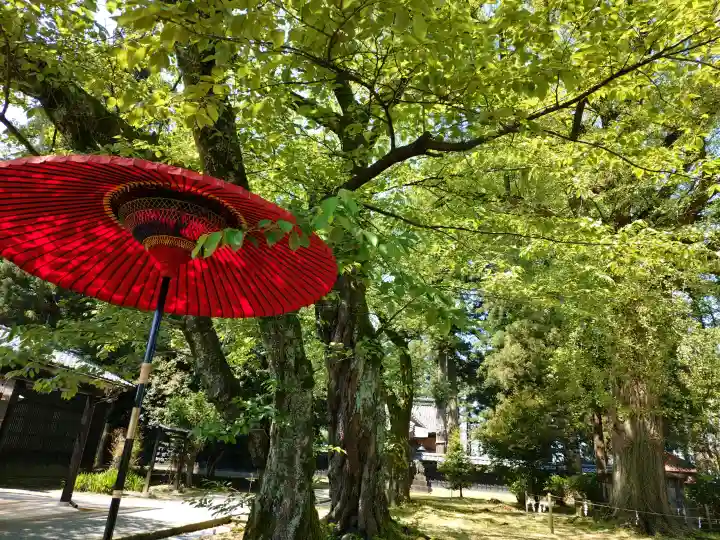 守りの神 藤基神社の{uncategorized: "未分類", other: "その他", undefined: "問題あり", building: "その他建物", grave: "お墓", sacred_gate: "鳥居", guardian: "狛犬", statue: "像", buddha: "仏像", history: "歴史", nature: "自然", garden: "庭園", animal: "動物", pagoda: "塔", temizu: "手水舎", mountain_gate: "山門・神門", sanctuary: "本殿・本堂", subordinate: "末社・摂社", art: "芸術", scenery: "景色", jizo: "地蔵", ema: "絵馬", goshuin: "御朱印", omikuji: "おみくじ", items: "授与品その他", amulet: "お守り", goshuincho: "御朱印帳", eats: "食事", festival: "お祭り", votive_dance: "神楽", shichigosan: "七五三参", wedding: "結婚式", experience: "体験その他", initially: "初詣", around: "周辺", anti_infection: "感染症対策"}