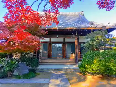 松林寺の本殿・本堂