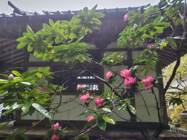 最乗寺(道了尊)(神奈川県)