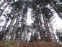 飯豊比売神社の自然
