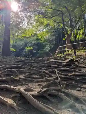 中尊寺(岩手県)
