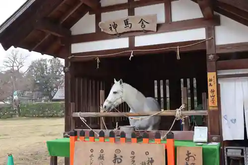 賀茂別雷神社（上賀茂神社）(京都府)