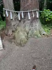 磯山神社の自然