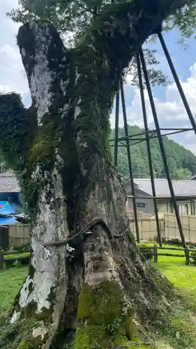 足鹿神社の{uncategorized: "未分類", other: "その他", undefined: "問題あり", building: "その他建物", grave: "お墓", sacred_gate: "鳥居", guardian: "狛犬", statue: "像", buddha: "仏像", history: "歴史", nature: "自然", garden: "庭園", animal: "動物", pagoda: "塔", temizu: "手水舎", mountain_gate: "山門・神門", sanctuary: "本殿・本堂", subordinate: "末社・摂社", art: "芸術", scenery: "景色", jizo: "地蔵", ema: "絵馬", goshuin: "御朱印", omikuji: "おみくじ", items: "授与品その他", amulet: "お守り", goshuincho: "御朱印帳", eats: "食事", festival: "お祭り", votive_dance: "神楽", shichigosan: "七五三参", wedding: "結婚式", experience: "体験その他", initially: "初詣", around: "周辺", anti_infection: "感染症対策"}