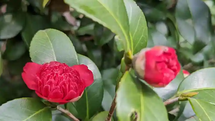 城南宮(京都府)