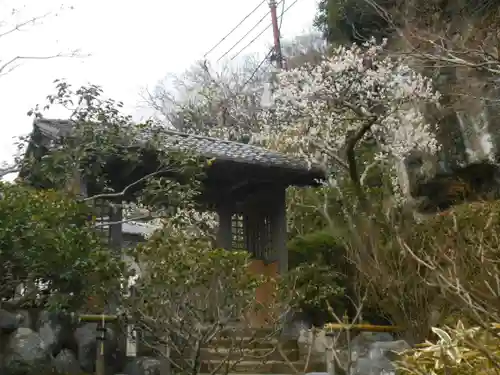 海蔵寺の山門