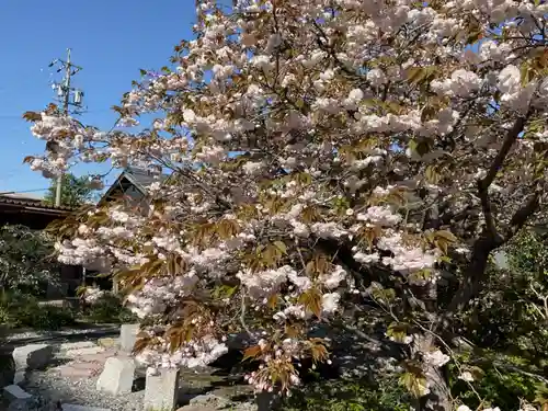 浄徳寺(岐阜県)