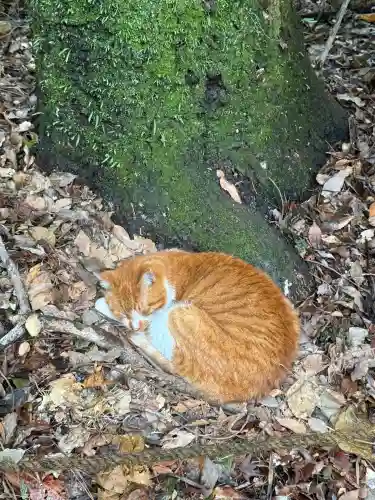 熱田神宮の{uncategorized: "未分類", other: "その他", undefined: "問題あり", building: "その他建物", grave: "お墓", sacred_gate: "鳥居", guardian: "狛犬", statue: "像", buddha: "仏像", history: "歴史", nature: "自然", garden: "庭園", animal: "動物", pagoda: "塔", temizu: "手水舎", mountain_gate: "山門・神門", sanctuary: "本殿・本堂", subordinate: "末社・摂社", art: "芸術", scenery: "景色", jizo: "地蔵", ema: "絵馬", goshuin: "御朱印", omikuji: "おみくじ", items: "授与品その他", amulet: "お守り", goshuincho: "御朱印帳", eats: "食事", festival: "お祭り", votive_dance: "神楽", shichigosan: "七五三参", wedding: "結婚式", experience: "体験その他", initially: "初詣", around: "周辺", anti_infection: "感染症対策"}