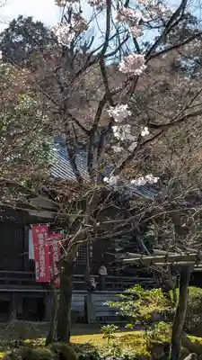 今熊野観音寺(京都府)