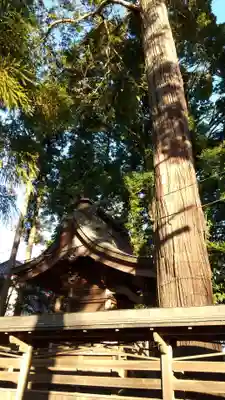 吉田神社の本殿・本堂