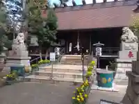 高円寺氷川神社の本殿・本堂