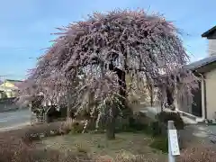 朝日森天満宮(栃木県)