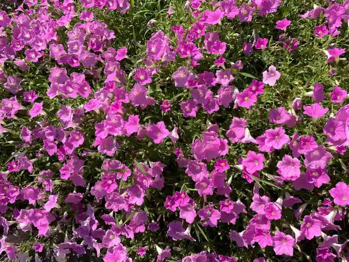 上宮天満宮(大阪府)