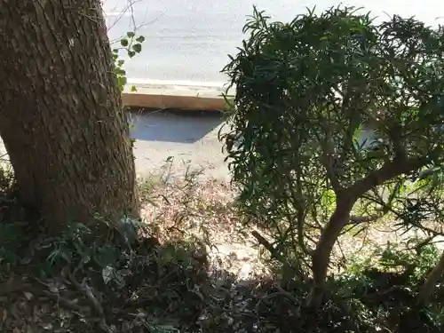 日枝神社の周辺