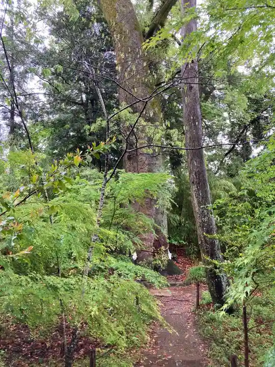 土佐神社の自然
