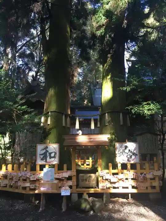 高千穂神社の自然