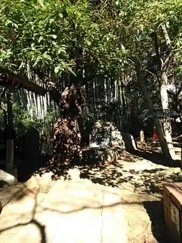 大正寺のその他建物