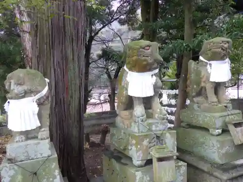 椎宮八幡神社の狛犬