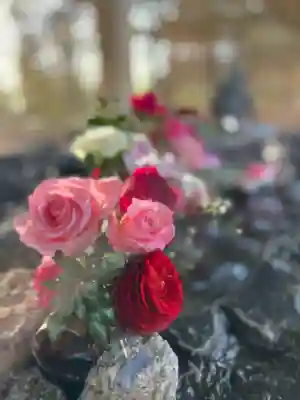 厚別神社(北海道)