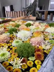 高円寺氷川神社(東京都)