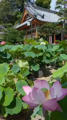 中山寺(兵庫県)