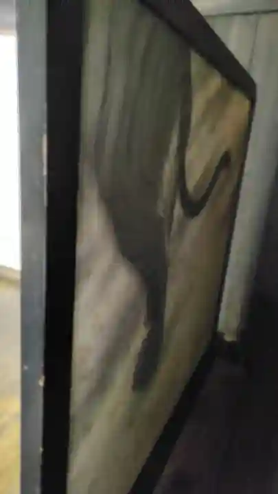 酬恩庵一休寺(京都府)