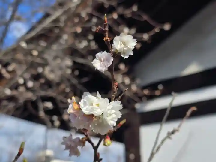 元興寺(奈良県)