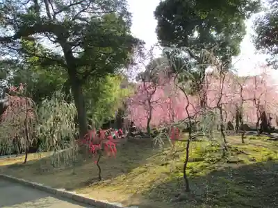 城南宮の庭園