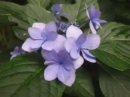 常盤神社(山口県)