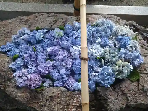 阿智神社の手水舎