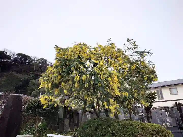 来迎寺(材木座)(神奈川県)