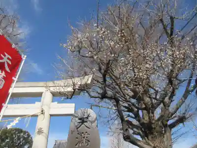 天満天神社(神奈川県)