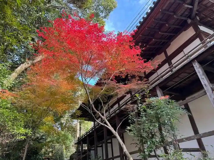 知恩院(京都府)