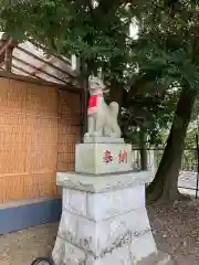 笠間稲荷神社の狛犬