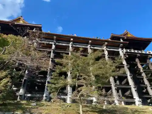 清水寺(京都府)