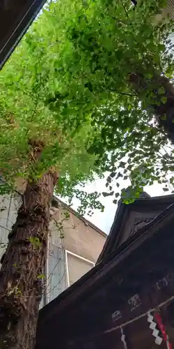 箭弓稲荷神社(東京都)