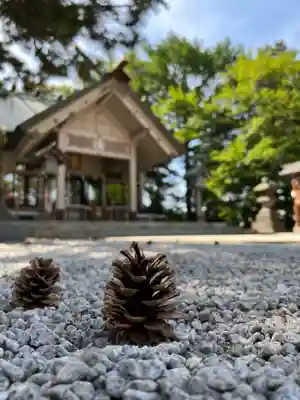 白石神社(北海道)