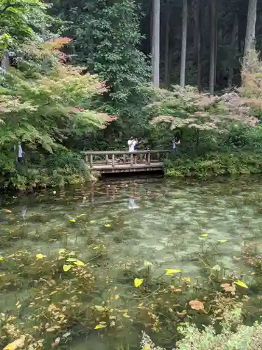 根道神社の庭園