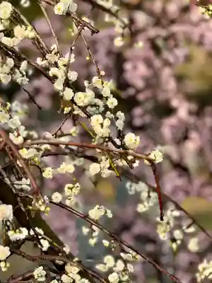 伊勢の国 四天王寺(三重県)