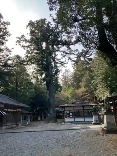 村檜神社(栃木県)