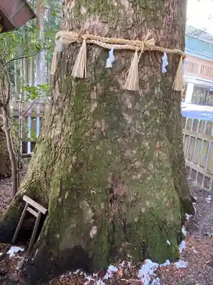 椿大神社(三重県)