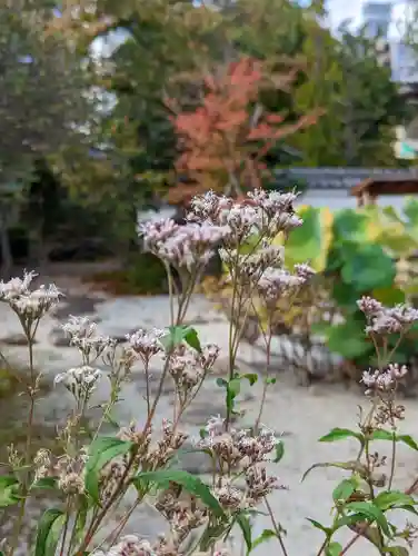 報恩寺(京都府)