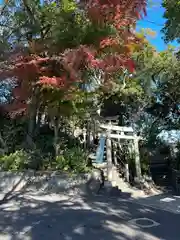 多摩川浅間神社(東京都)