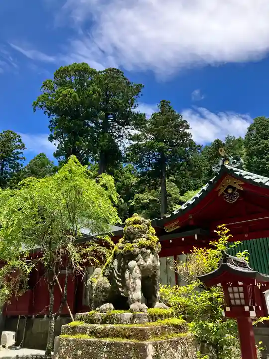 箱根神社(神奈川県)