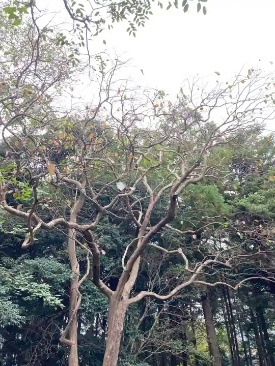 椿ノ海 水神社(千葉県)