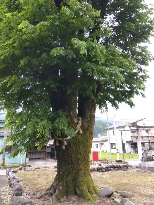 大山祇社(福井県)