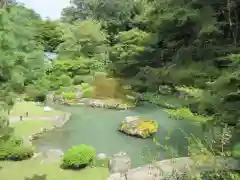 青蓮院門跡の庭園