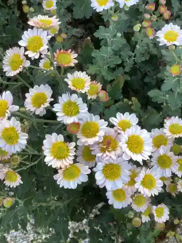 三輪神社の自然
